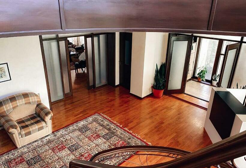 هاستل Ayla Green