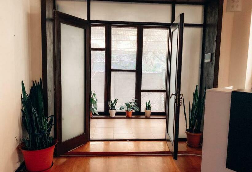 هاستل Ayla Green