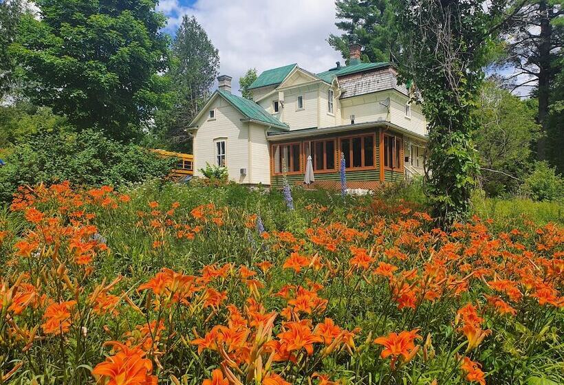 ユースホステル Le Salon Des Inconnus