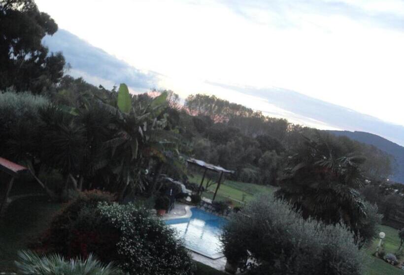 Bed and Breakfast Agriturismo Podere Novo