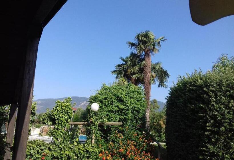 Bed and Breakfast Agriturismo Podere Novo