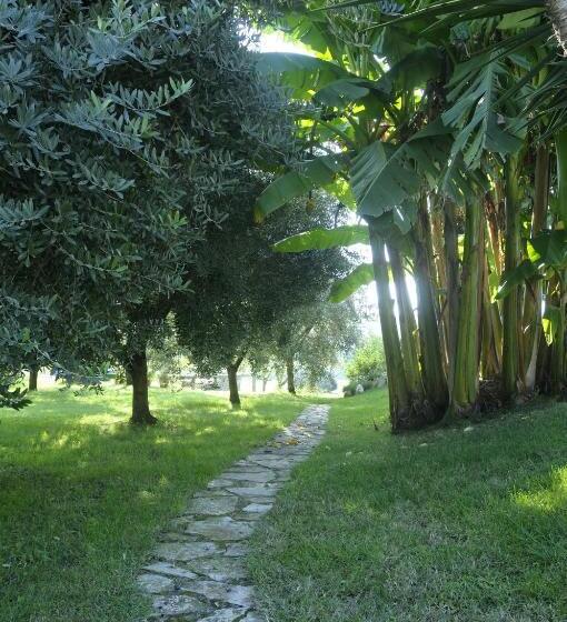 Bed and Breakfast Agriturismo Podere Novo