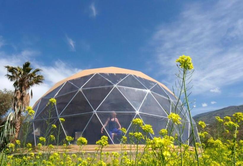 호텔 Cortijo Tayula Centro De Recuperación Y Descanso