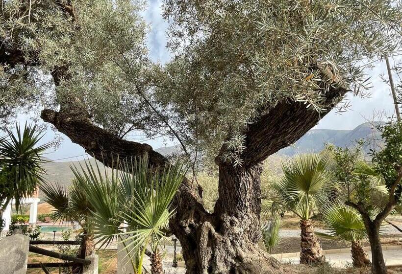 호텔 Cortijo Tayula Centro De Recuperación Y Descanso