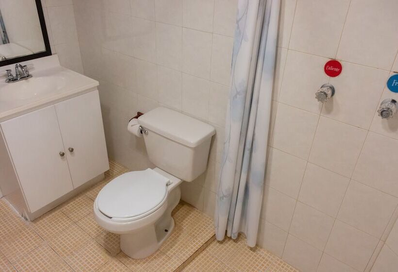 Отель Del Parque Naolinco