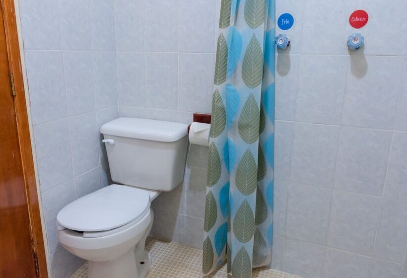 Отель Del Parque Naolinco