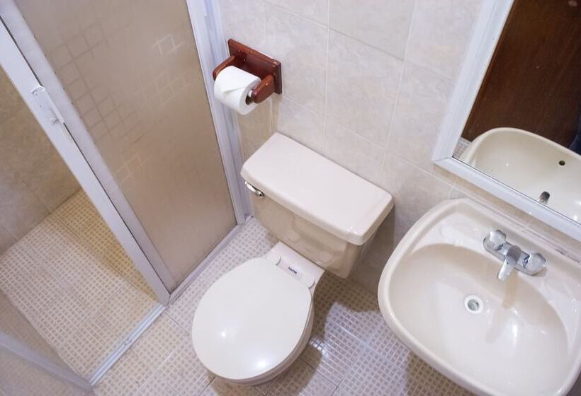 Отель Del Parque Naolinco