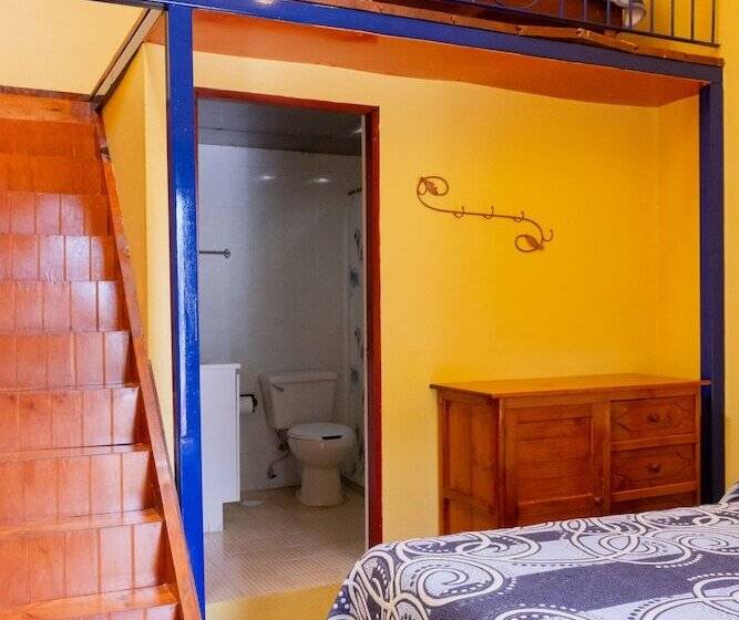 Отель Del Parque Naolinco