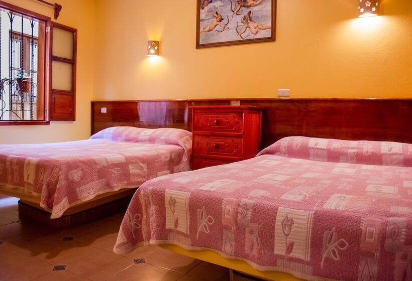 Отель Del Parque Naolinco