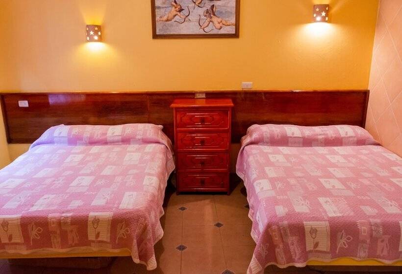 Отель Del Parque Naolinco