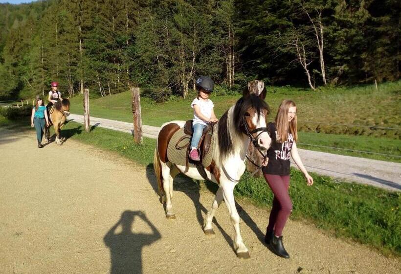 Отель Ferienwohnungen Foidlhof