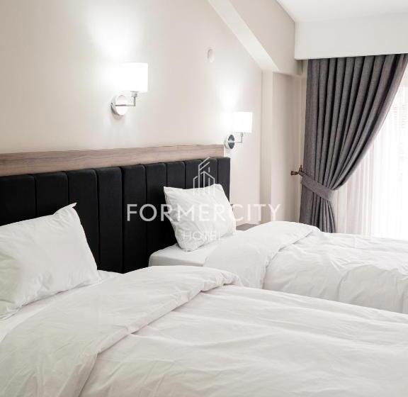 호텔 Formercity Termal