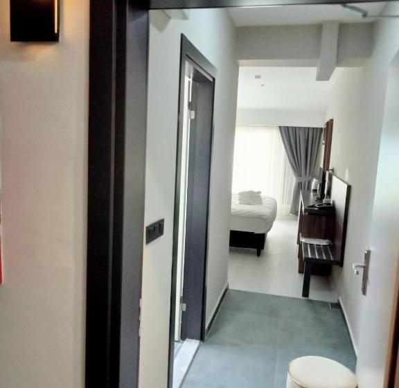 호텔 Formercity Termal