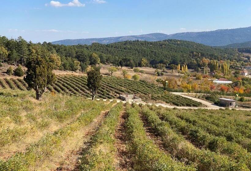 La Vie En Rose Hotel By Sogutdagi Isparta