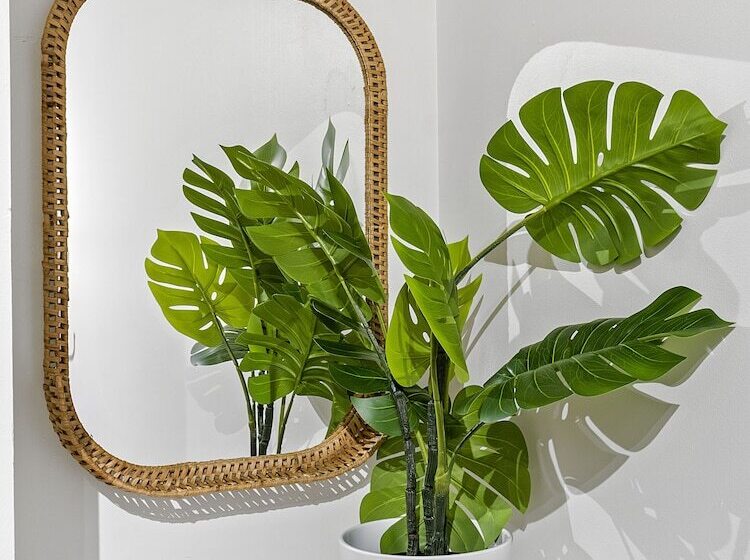 هاستل Azzurro Pod Hotel   Central Sydney