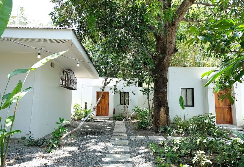 هاستل Mad Monkey Dumaguete