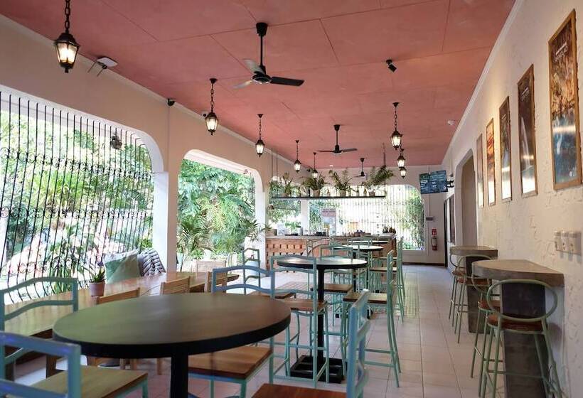 هاستل Mad Monkey Dumaguete