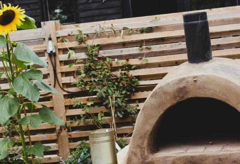 Общежитие The Selsey Arms