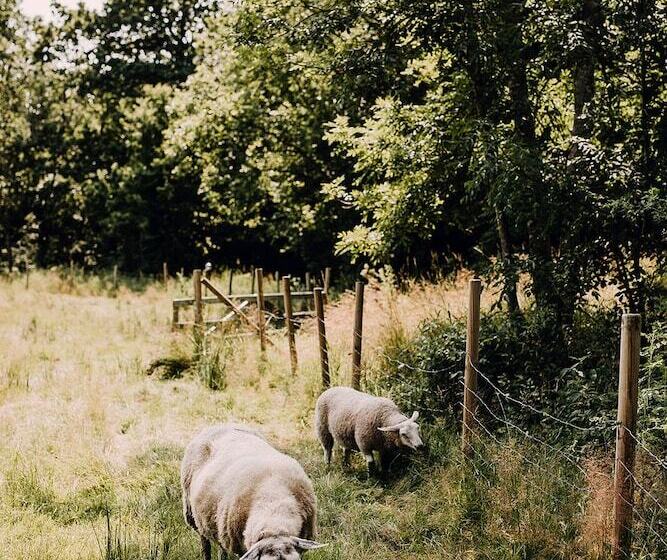 Engø Gård Hotel & Restaurant