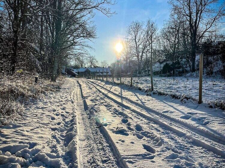 Engø Gård Hotel & Restaurant