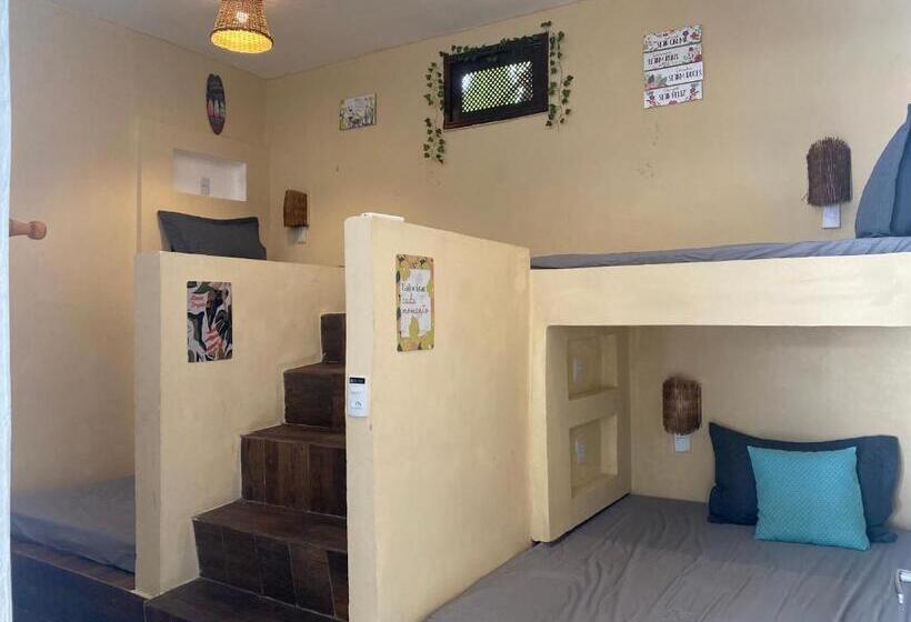 Hostel Olho D água