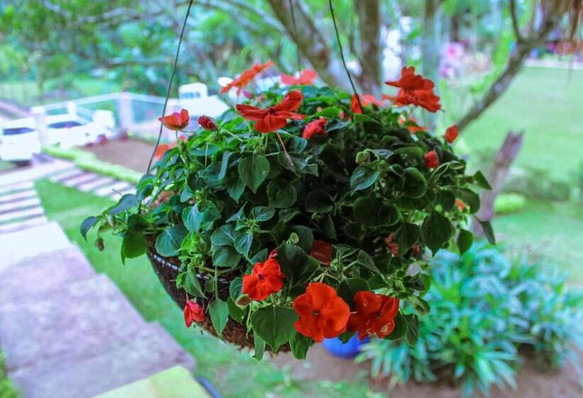 هتل Cocoland Farm Resort