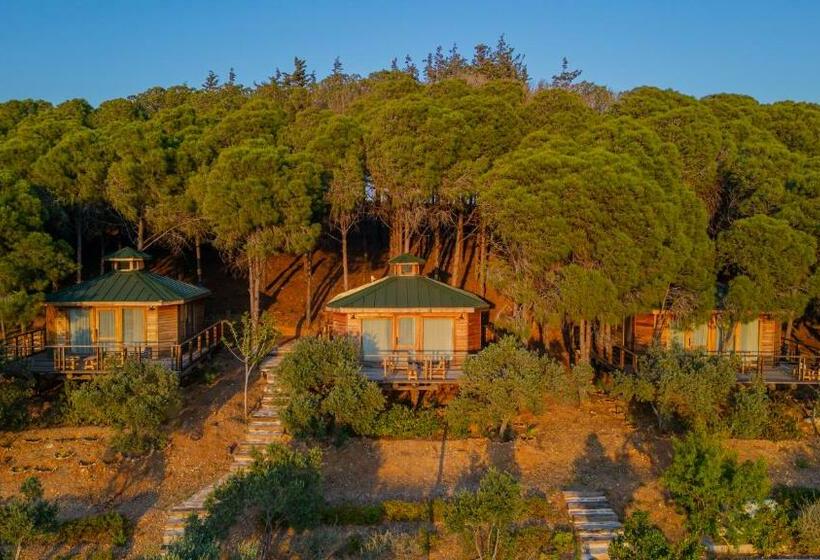 ホテル Kairos Valley Health & Nature Resort