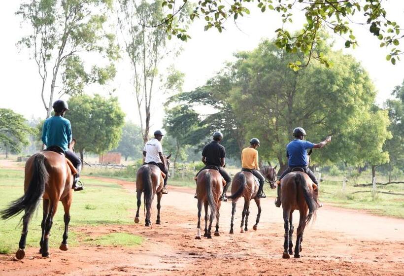 בית מלון כפרי Olive Farm @ Embassy International Riding School