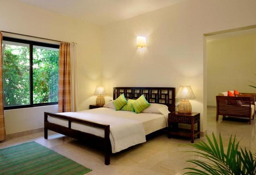 בית מלון כפרי Olive Farm @ Embassy International Riding School