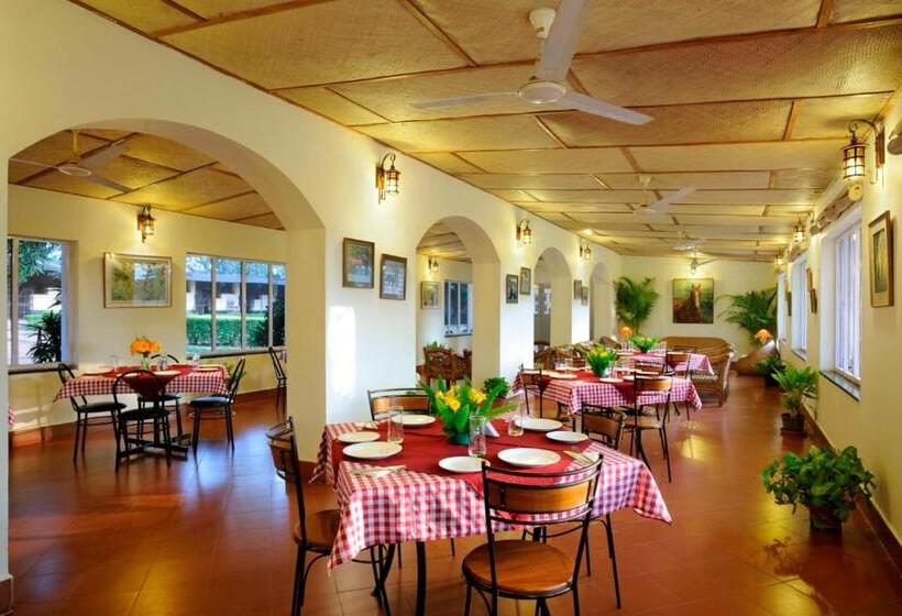 בית מלון כפרי Olive Farm @ Embassy International Riding School