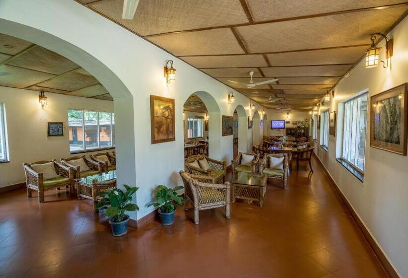 בית מלון כפרי Olive Farm @ Embassy International Riding School