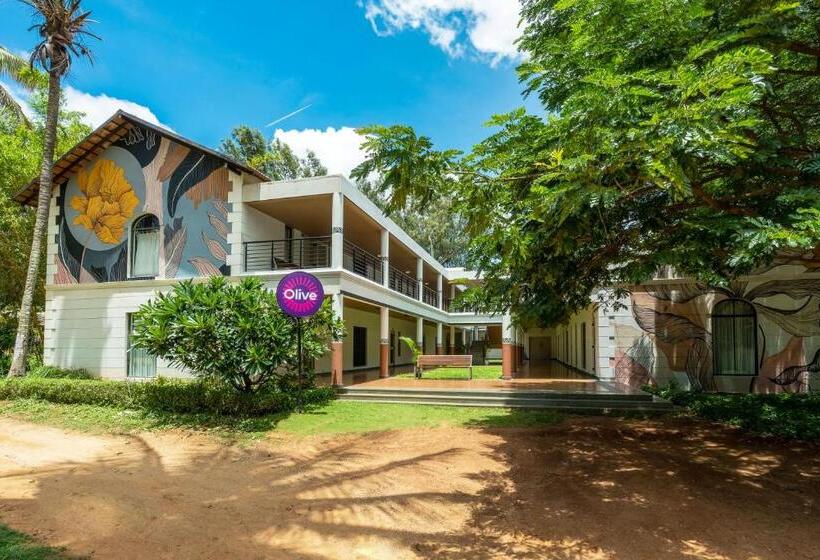 בית מלון כפרי Olive Farm @ Embassy International Riding School