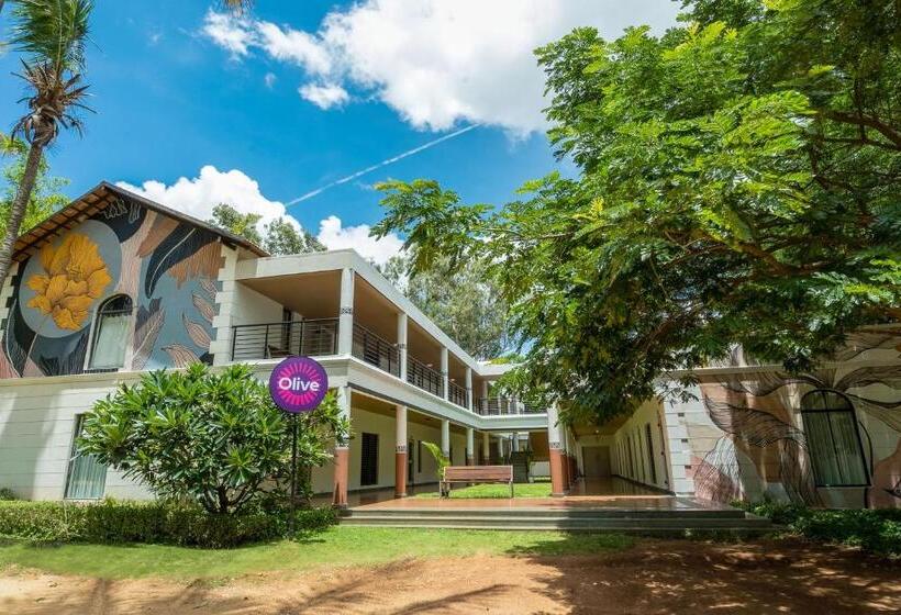 בית מלון כפרי Olive Farm @ Embassy International Riding School