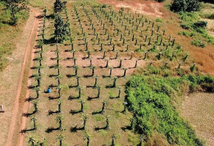 فندق The Farm Retreat