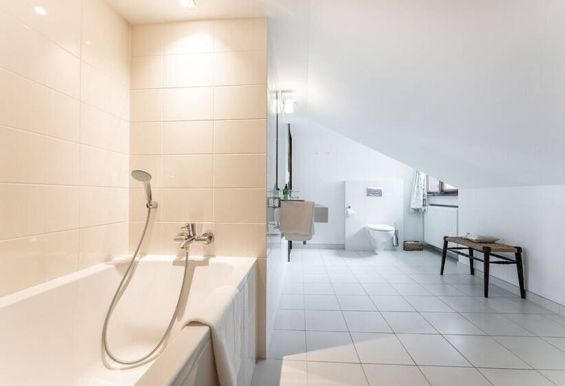 ホテル Zámek Dobřenice