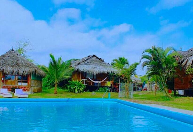 Kamala Surf & Backpacker Hostel