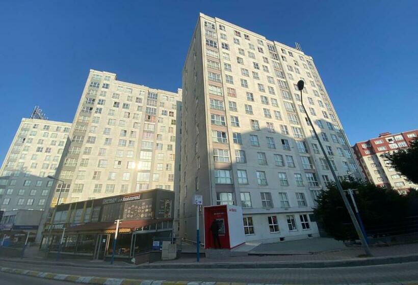 Pin Suites