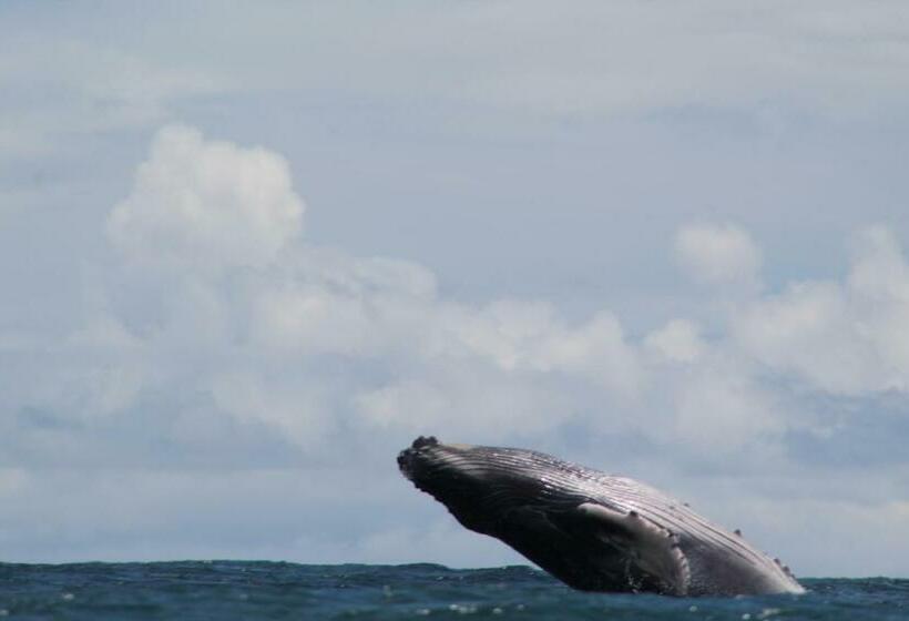 Общежитие La Aldea Del Primitivo