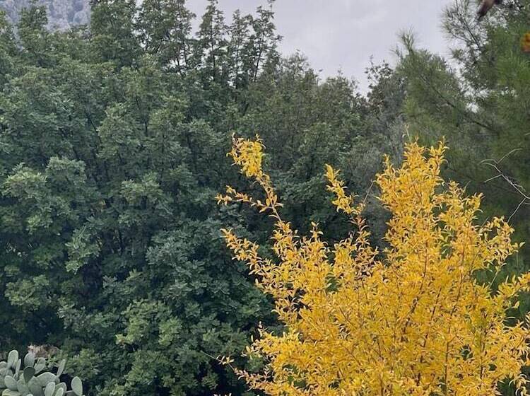 Antalya Bodrum Kayası Dağ Oteli