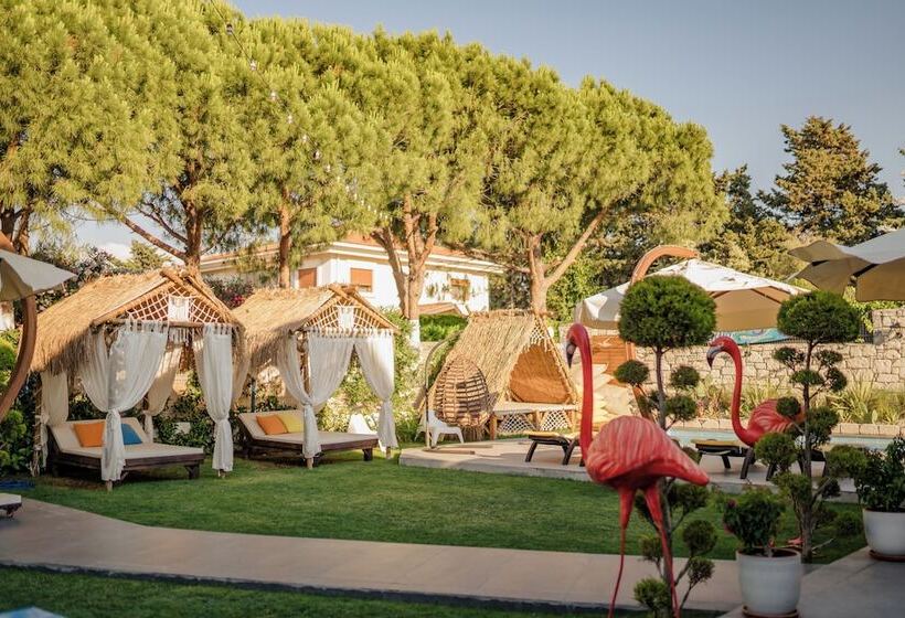 住宿加早餐  Trend Blue Boutique Otel