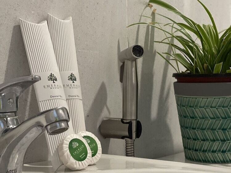 Отель Emerald Manor