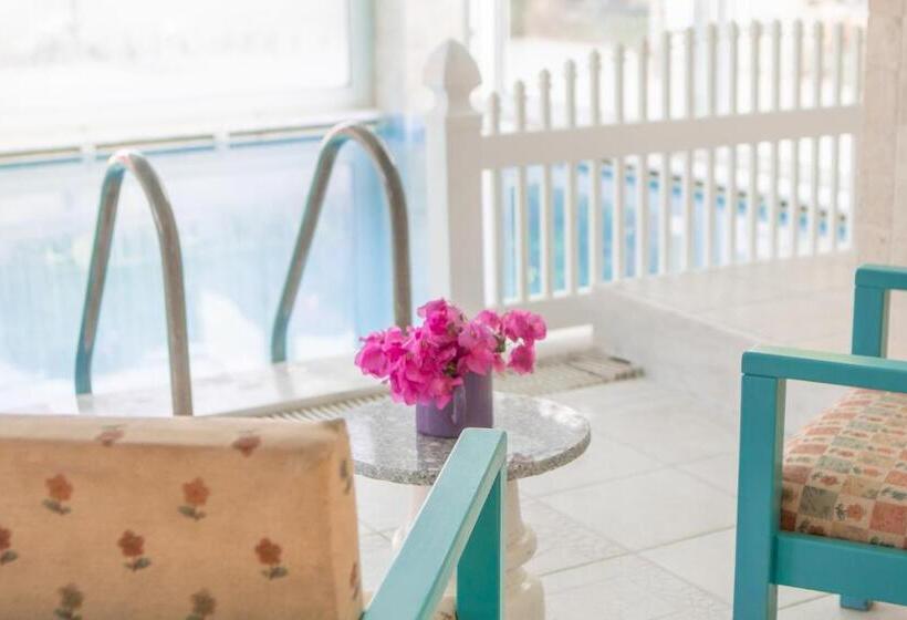 호텔 Olya Boutique