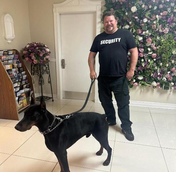 فندق Windsor Inn Of Jacksonville