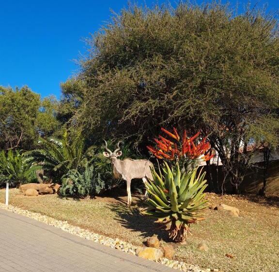 بنسيون Casa Basilio Studio