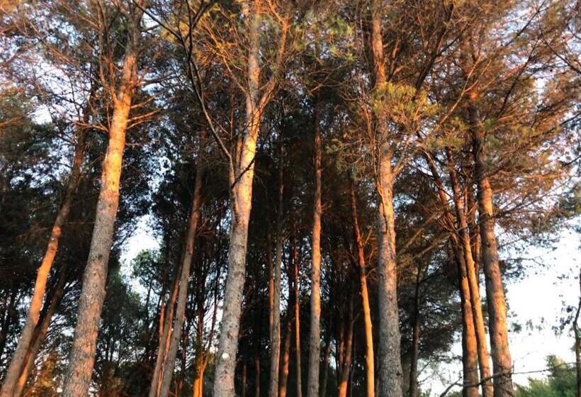 ペンション Chambre D Hôtes Dallara