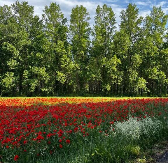 ペンション Chambre D Hôtes Dallara