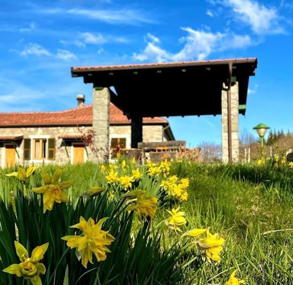 بنسيون Colle Del Faggio Nature Room