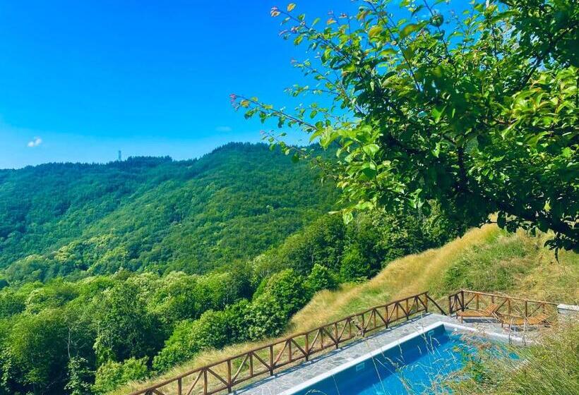 بنسيون Colle Del Faggio Nature Room