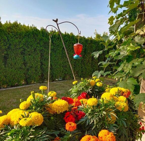 Pensionat Greenleaf 2 Bdrm 1bth Suite & Private Entry