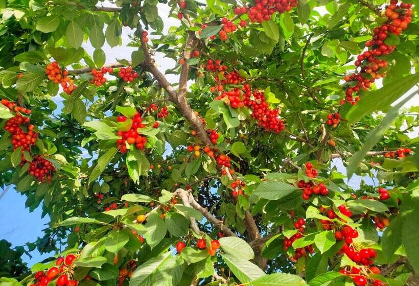 Pensionat Greenleaf 2 Bdrm 1bth Suite & Private Entry